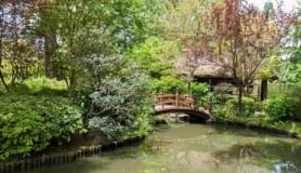 Áreas verdes y paisaje del Jardín Japonés en Montevideo