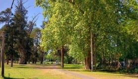 Espacios verdes y corredores del Municipio G en Montevideo