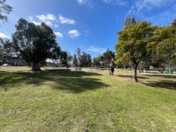 Personal realizando mantenimiento de áreas verdes en un parque de Montevideo