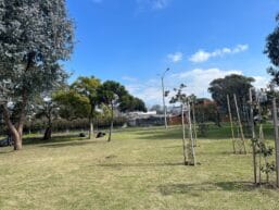 Corredor y caminería limpia y cuidada en espacio verde