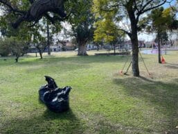 Equipo de trabajo supervisando el entorno de una plaza